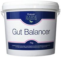 Protexin Equine Gut Balancer - 7kg